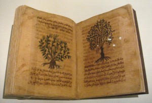 Dioskurides Materia Medica
